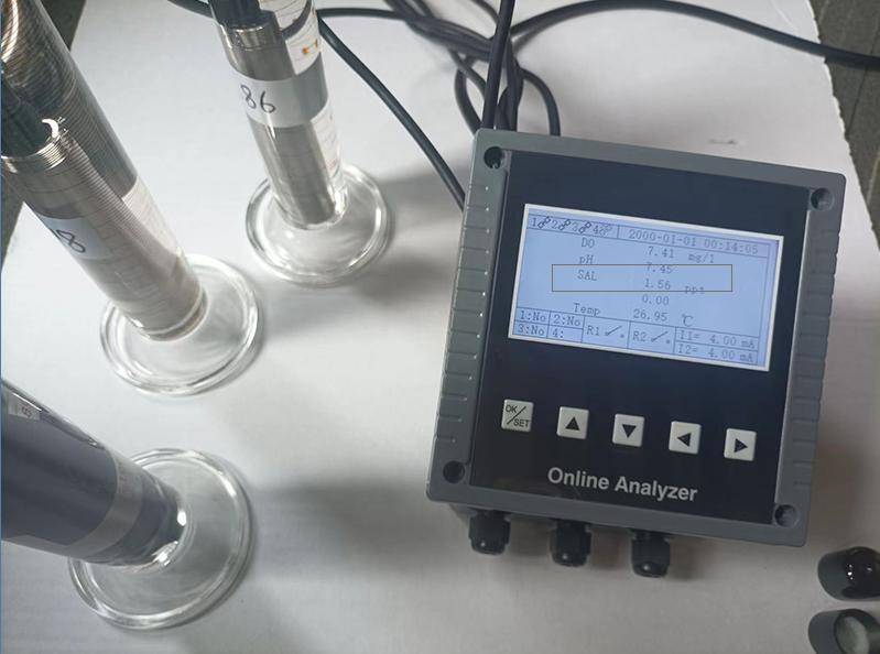 DS280 Salinity Probe and Controller