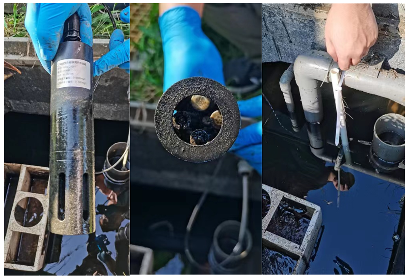 DSX260 Online Electronic Nitrate Sensor for Water