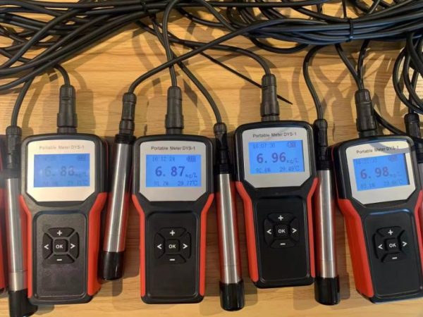 portable dissolved oxygen analyzer - DYS-1