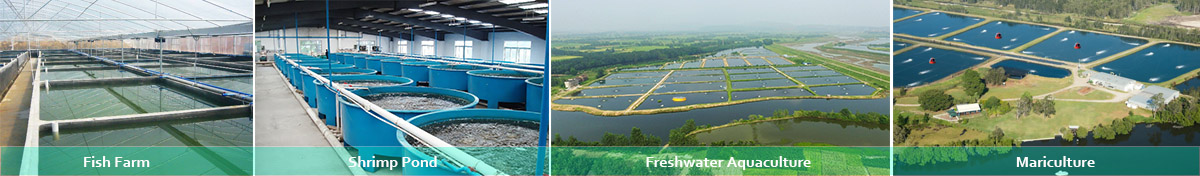 Application of Dissolved Oxygen Sensor in Aquaculture