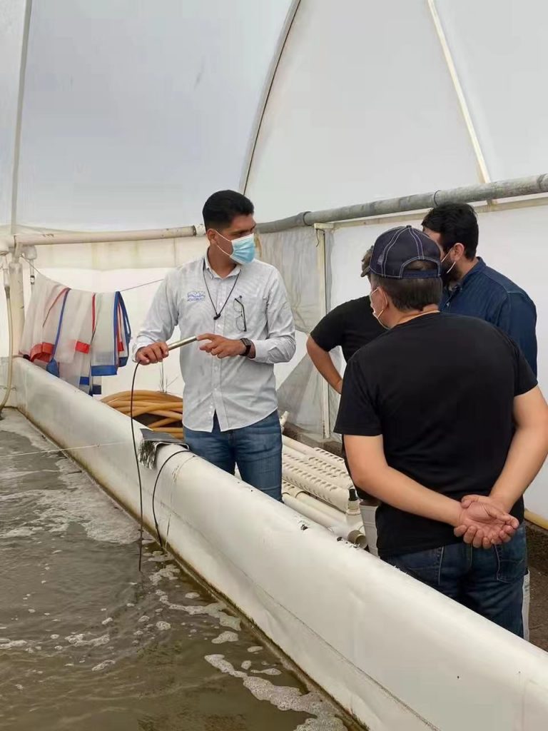 Dissolved oxygen sensor used for aquaculture