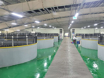 Fluorescence dissolved oxygen sensor used in Korean fish ponds