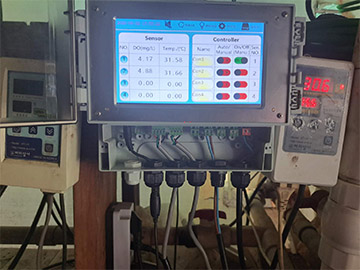 Dissolved oxygen sensor control system used in shrimp farming