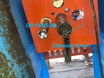 Dissolved Oxygen Sensor Used for Aquaculture