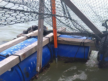 Dissolved Oxygen Sensors used for Marine Aquaculture