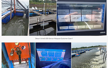 Water Quality Sensors in Aquaculture