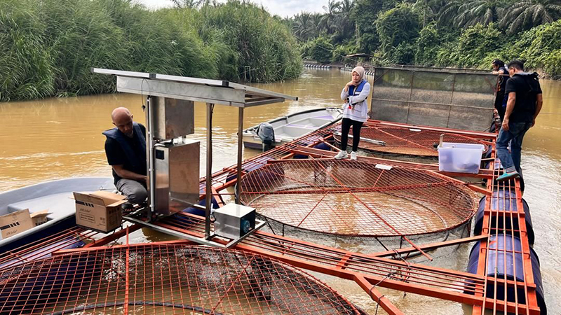 Aquaculture water quality sensor