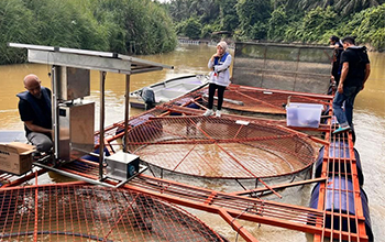 Water Quality Sensors in Aquaculture