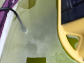 Dissolved Oxygen Sensor Used for Aquaculture in Russia