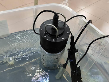 Multi-parameter Water Quality Sensor Installed in Fish Tank