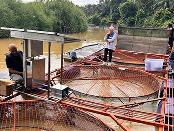 Water Quality Monitoring Sensors used for Large Outdoor Shrimp Ponds