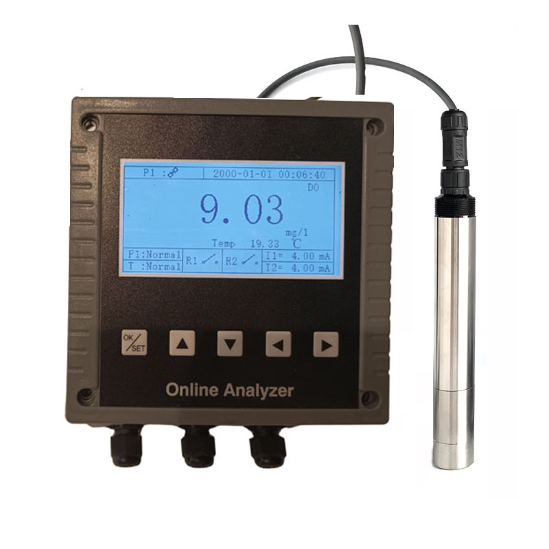 Dissolved Oxygen (DO) Sensor