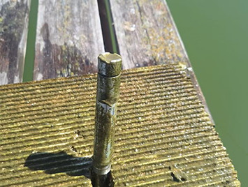 DS380 Dissolved Oxygen Sensors installed at Israeli Aquaculture Farms