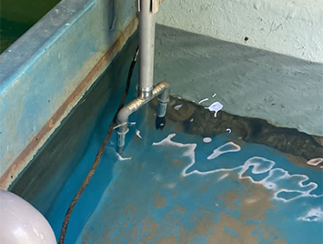 DO + pH Sensors Used for Indoor Aquaculture in Malaysia