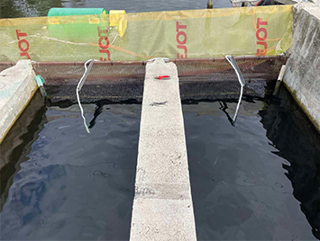 DS380 Dissolved Oxygen Sensors Used for Fish Ponds