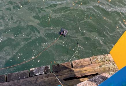 Multi-parameter Water Quality Sensor Installed for Lake Monitoring