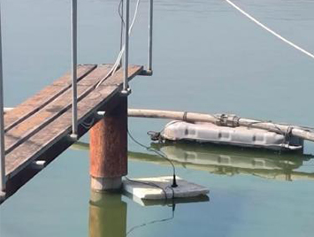 Optical Dissolved Oxygen Sensors Used in Marine Aquaculture