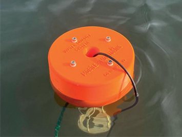 DS380 Optical Dissolved Oxygen Sensor Installed in Poland
