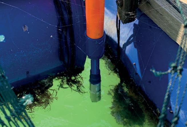 DS430 Chlorophyll Sensor Installed in Malaysia for Water Quality Monitoring