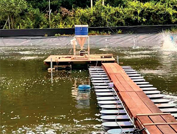 Online DO+pH+Salinity Sesnors Installed in Malaysia